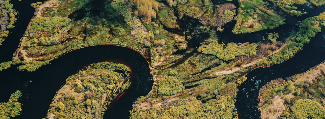 Doğanın Haklarını Hep Birlikte Savunuyoruz!
