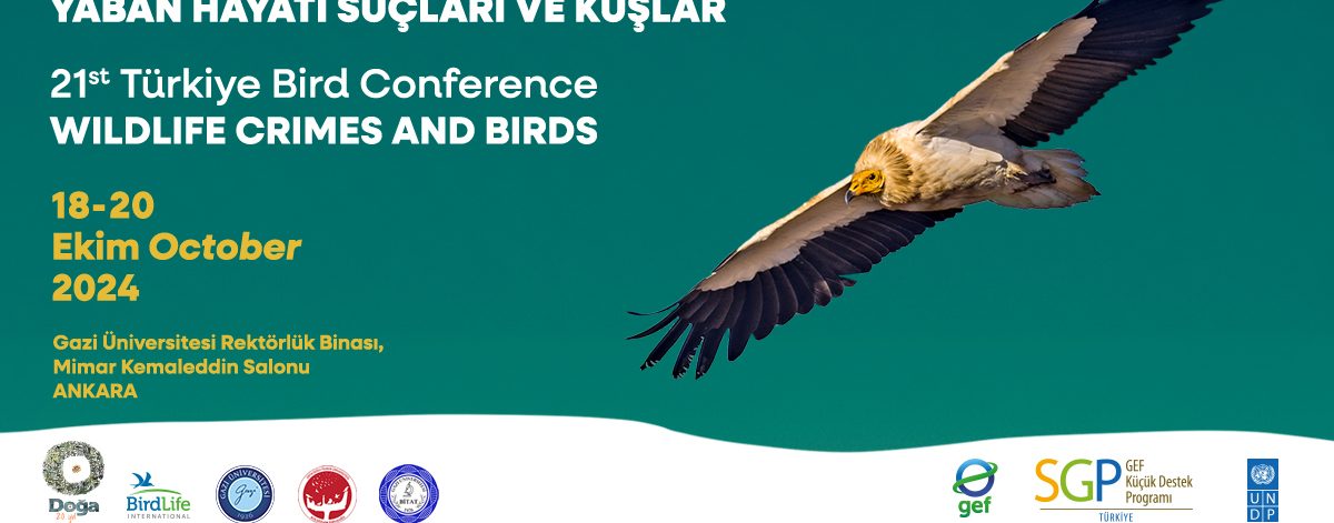 21. Türkiye Kuş Konferansı Yaban Hayatı Suçları ve Kuşlar temasıyla, 18-20 Ekim 2024’te Ankara’da gerçekleşiyor.