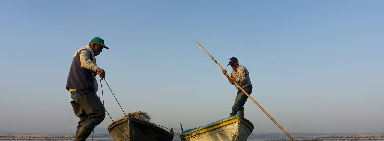 Court Ruling in Favor of Lake Marmara, a Key Biodiversity Area in Turkey!