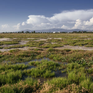 Fotoğraf: Mahmut Koyaş
